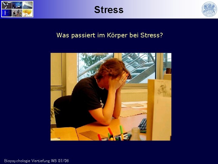 Stress Was passiert im Körper bei Stress? Biopsychologie Vertiefung WS 07/08 