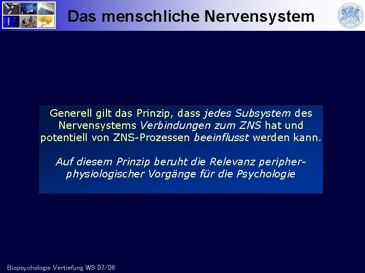 Das menschliche Nervensystem Generell gilt das Prinzip, dass jedes Subsystem des Nervensystems Verbindungen zum