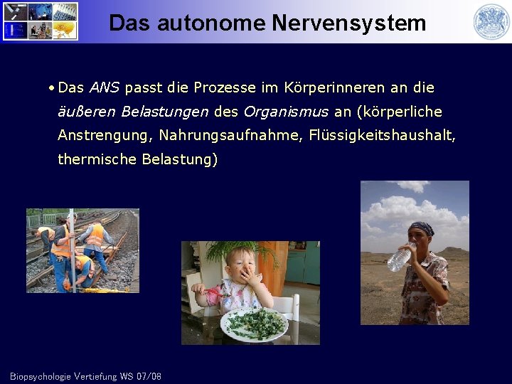 Das autonome Nervensystem • Das ANS passt die Prozesse im Körperinneren an die äußeren