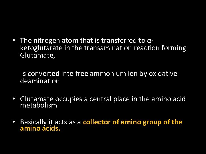  • The nitrogen atom that is transferred to αketoglutarate in the transamination reaction
