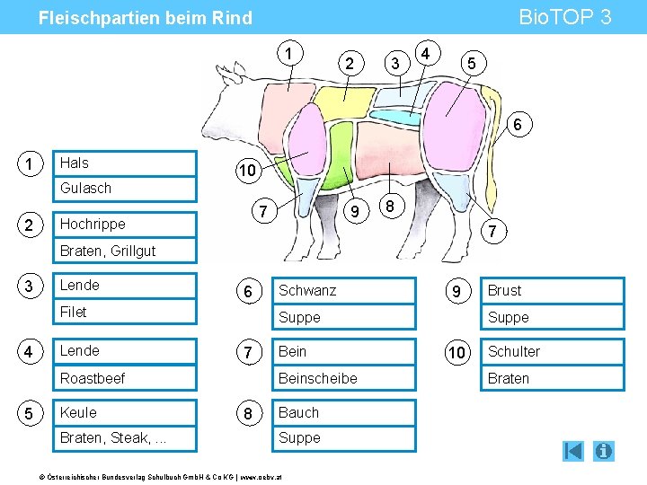 Bio. TOP 3 Fleischpartien beim Rind 1 2 3 4 5 6 1 Hals
