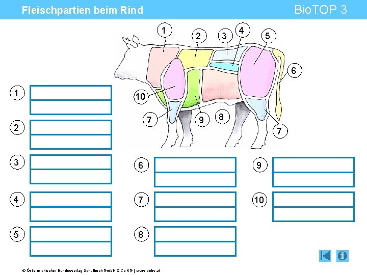 Bio. TOP 3 Fleischpartien beim Rind 1 2 3 4 5 6 1 10