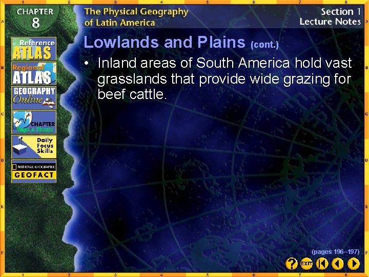 Lowlands and Plains (cont. ) • Inland areas of South America hold vast grasslands