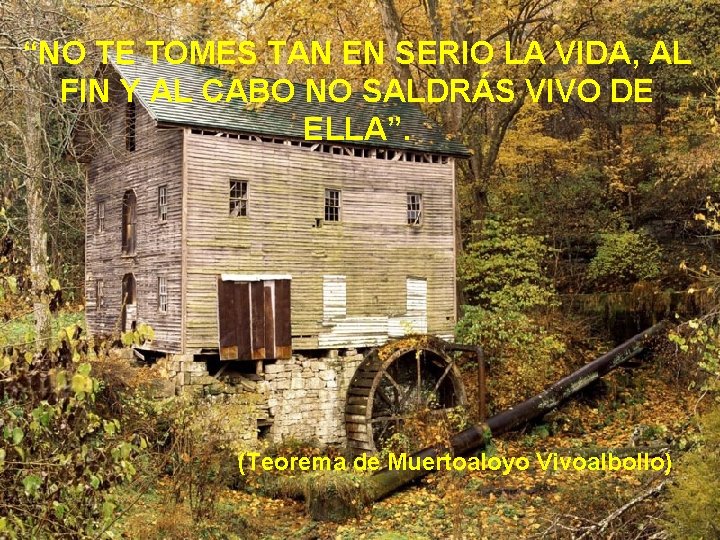 “NO TE TOMES TAN EN SERIO LA VIDA, AL FIN Y AL CABO NO
