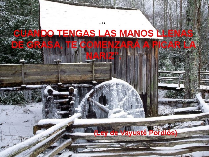 “ CUANDO TENGAS LAS MANOS LLENAS DE GRASA, TE COMENZARÁ A PICAR LA NARIZ”.