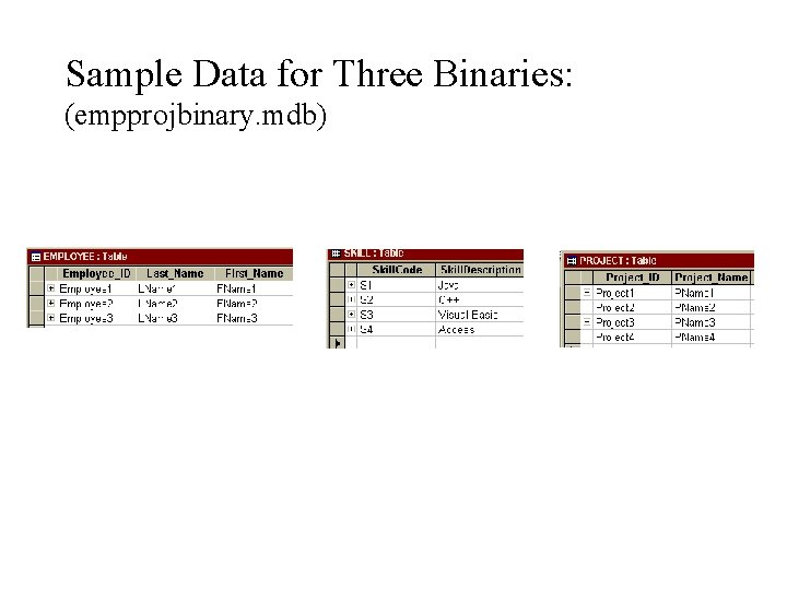 Sample Data for Three Binaries: (empprojbinary. mdb) 