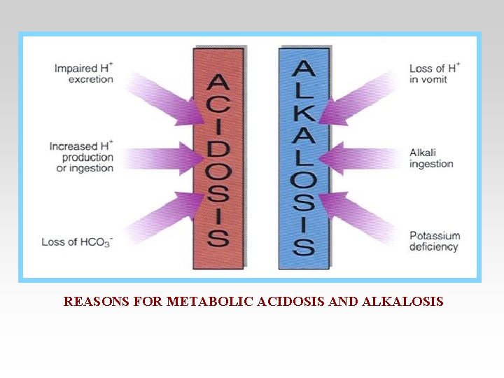 REASONS FOR METABOLIC ACIDOSIS AND ALKALOSIS 