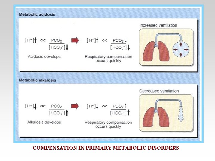 COMPENSATION IN PRIMARY METABOLIC DISORDERS 