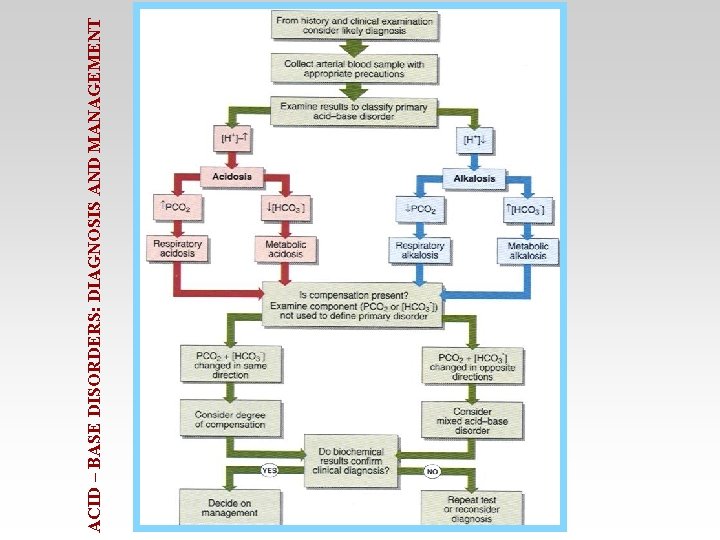 ACID – BASE DISORDERS: DIAGNOSIS AND MANAGEMENT 