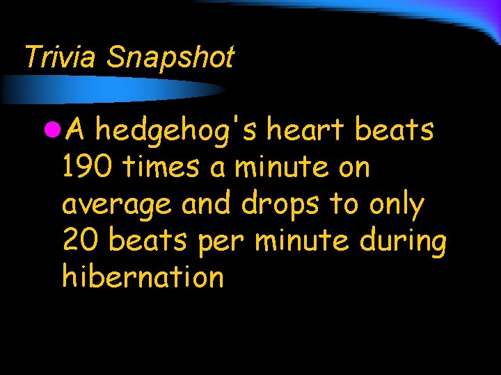 Trivia Snapshot l. A hedgehog's heart beats 190 times a minute on average and