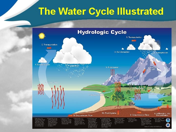 The Water Cycle Illustrated 