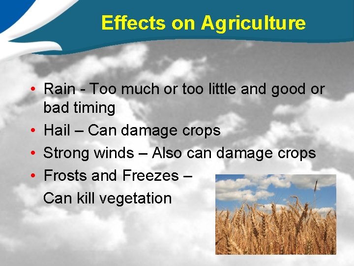 Effects on Agriculture • Rain - Too much or too little and good or