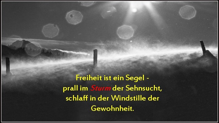 Freiheit ist ein Segel prall im Sturm der Sehnsucht, schlaff in der Windstille der