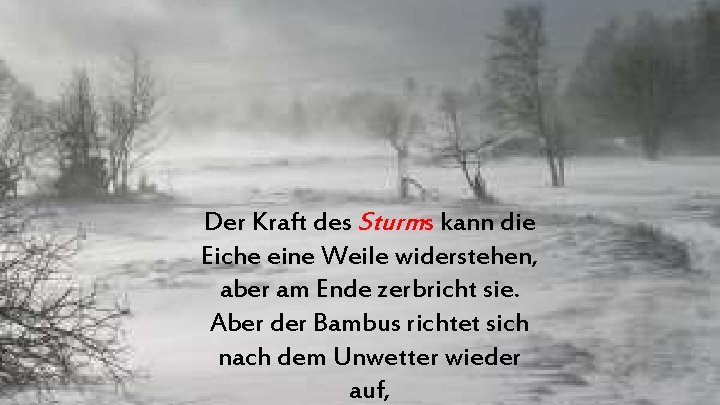Der Kraft des Sturms kann die Eiche eine Weile widerstehen, aber am Ende zerbricht Der Kraft des Sturms kann die Eiche eine Weile widerstehen, aber am Ende zerbricht