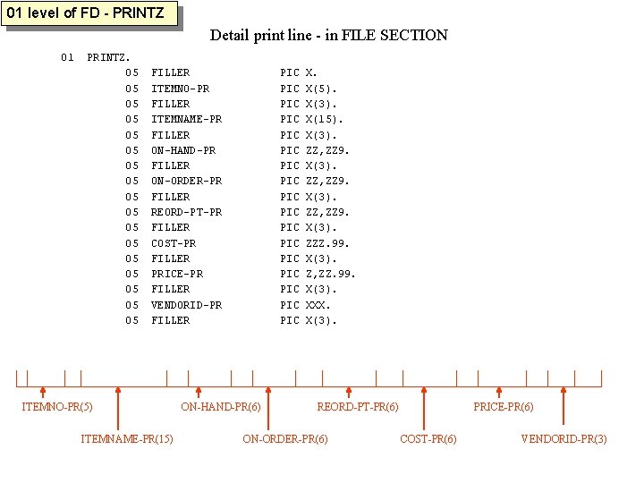 01 level of FD - PRINTZ Detail print line - in FILE SECTION 01