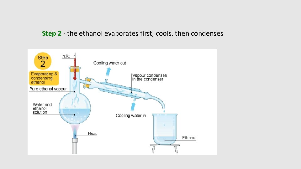 Step 2 - the ethanol evaporates first, cools, then condenses 