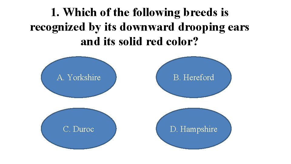 1. Which of the following breeds is recognized by its downward drooping ears and