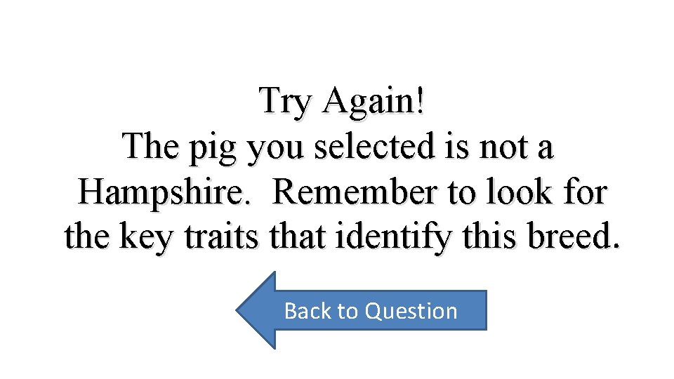 Try Again! The pig you selected is not a Hampshire. Remember to look for
