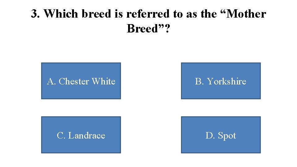 3. Which breed is referred to as the “Mother Breed”? A. Chester White B.