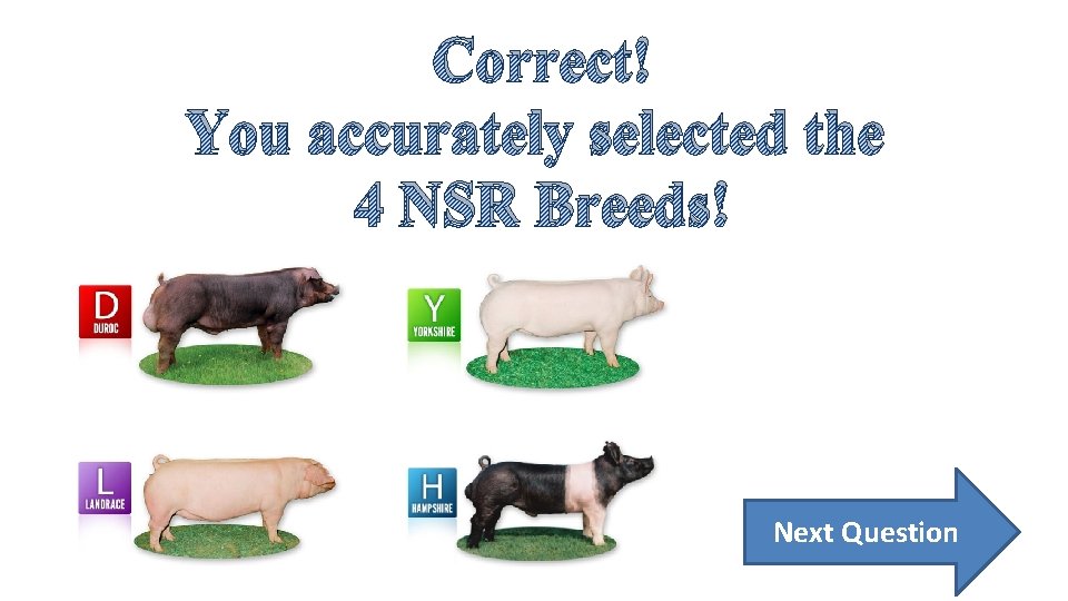 Correct! You accurately selected the 4 NSR Breeds! Next Question 