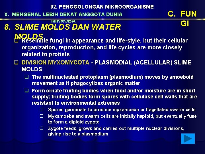 02. PENGGOLONGAN MIKROORGANISME X. MENGENAL LEBIH DEKAT ANGGOTA DUNIA MIKROBA C. FUN GI 8.