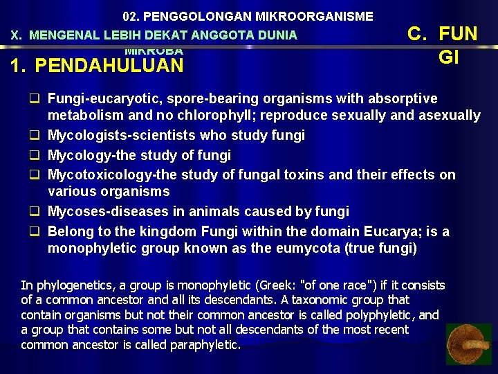 02. PENGGOLONGAN MIKROORGANISME X. MENGENAL LEBIH DEKAT ANGGOTA DUNIA MIKROBA 1. PENDAHULUAN C. FUN