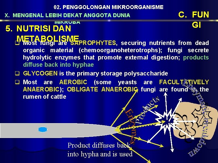 02. PENGGOLONGAN MIKROORGANISME X. MENGENAL LEBIH DEKAT ANGGOTA DUNIA MIKROBA 5. NUTRISI DAN METABOLISME