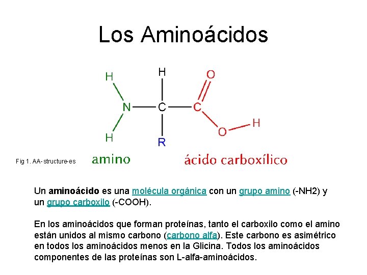 Los Aminoácidos Fig 1. AA-structure-es Un aminoácido es una molécula orgánica con un grupo