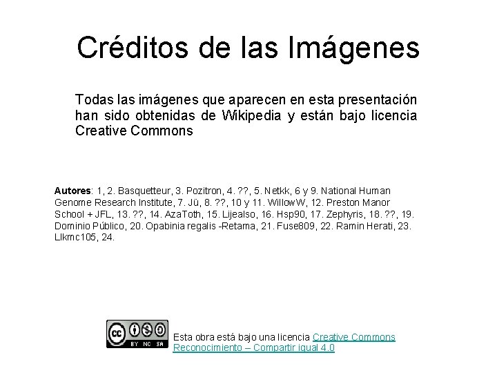 Créditos de las Imágenes Todas las imágenes que aparecen en esta presentación han sido