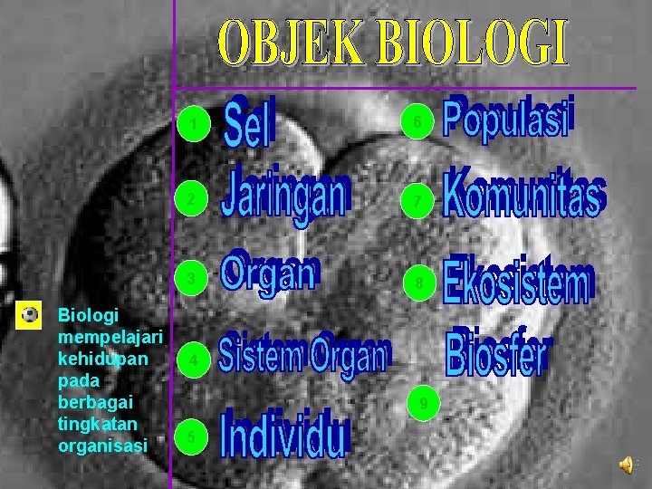 Biologi mempelajari kehidupan pada berbagai tingkatan organisasi 1 6 2 7 3 8 4