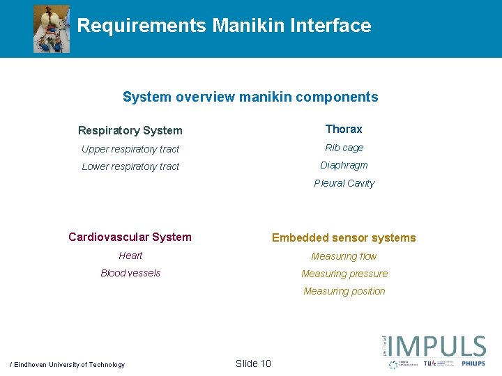 Requirements Manikin Interface System overview manikin components Respiratory System Thorax Upper respiratory tract Rib