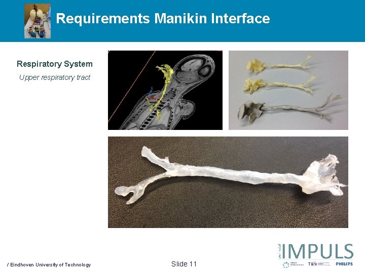 Requirements Manikin Interface Respiratory System Upper respiratory tract / Eindhoven University of Technology Slide