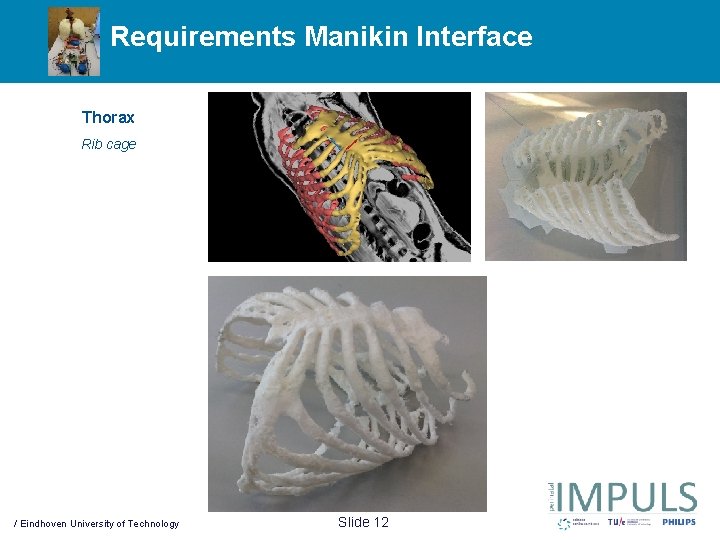 Requirements Manikin Interface Thorax Rib cage / Eindhoven University of Technology Slide 12 