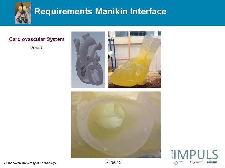 Requirements Manikin Interface Cardiovascular System Heart / Eindhoven University of Technology Slide 13 