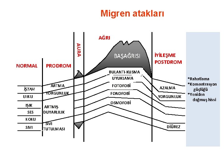 Migren atakları AĞRI AURA NORMAL BAŞAĞRISI PRODROM İYİLEŞME POSTDROM NORMAL AZALMA *Rahatlama *Konsantrasyon güçlüğü