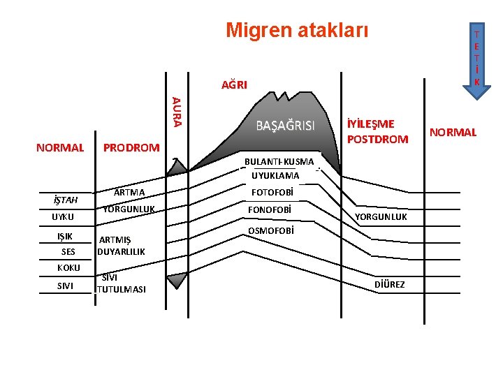 Migren atakları T E T İ K AĞRI AURA NORMAL BAŞAĞRISI PRODROM İYİLEŞME POSTDROM