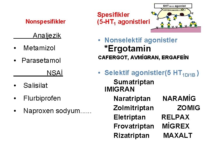 Nonspesifikler Analjezik • Metamizol • Parasetamol • • • Nonselektif agonistler *Ergotamin CAFERGOT, AVMİGRAN,