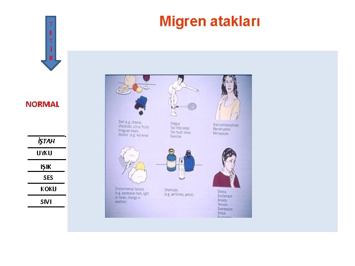 Migren atakları T E T İ K AĞRI AURA NORMAL BAŞAĞRISI PRODROM İYİLEŞME POSTDROM