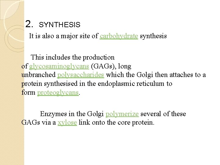  2. SYNTHESIS It is also a major site of carbohydrate synthesis This includes