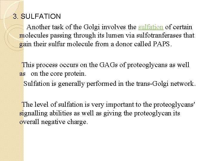 3. SULFATION Another task of the Golgi involves the sulfation of certain molecules passing