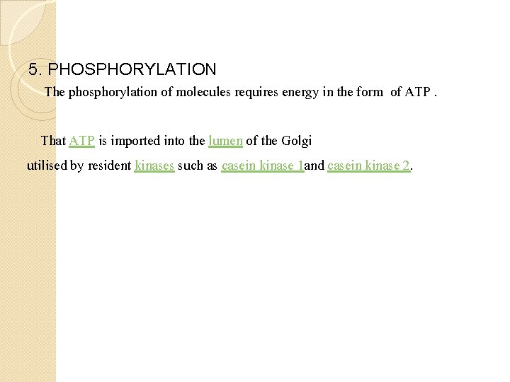  5. PHOSPHORYLATION The phosphorylation of molecules requires energy in the form of ATP.