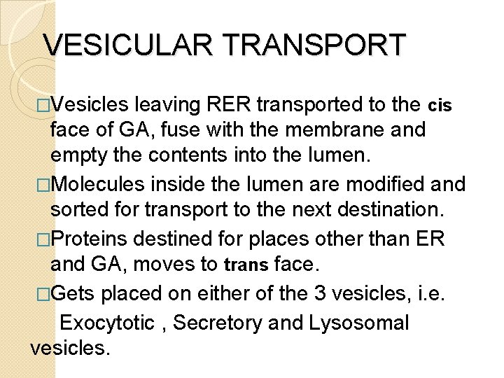 VESICULAR TRANSPORT �Vesicles leaving RER transported to the cis face of GA, fuse with