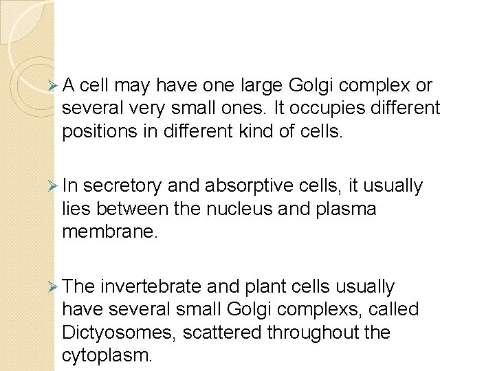 Ø A cell may have one large Golgi complex or several very small ones.