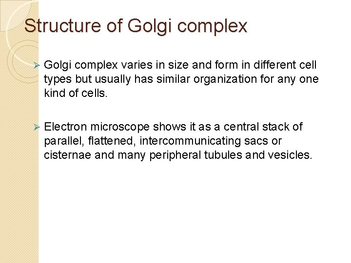 Structure of Golgi complex Ø Golgi complex varies in size and form in different