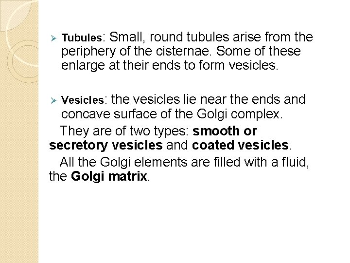 Ø Tubules: Small, round tubules arise from the periphery of the cisternae. Some of