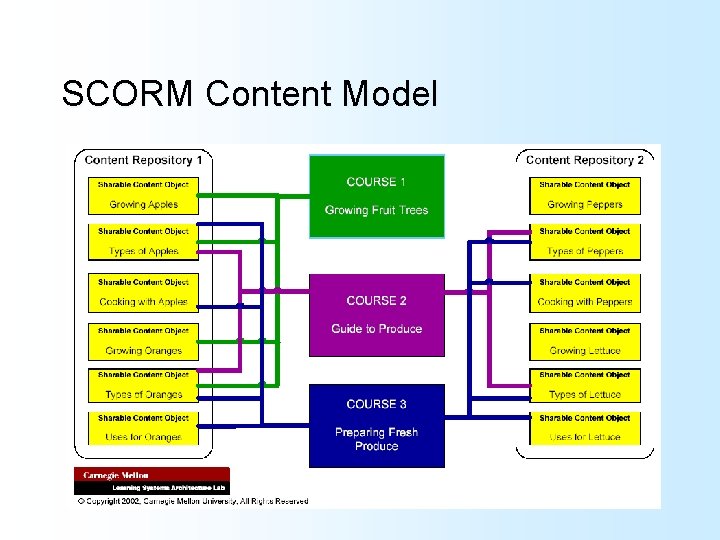 SCORM Content Model 
