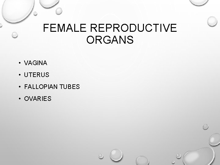 FEMALE REPRODUCTIVE ORGANS • VAGINA • UTERUS • FALLOPIAN TUBES • OVARIES 