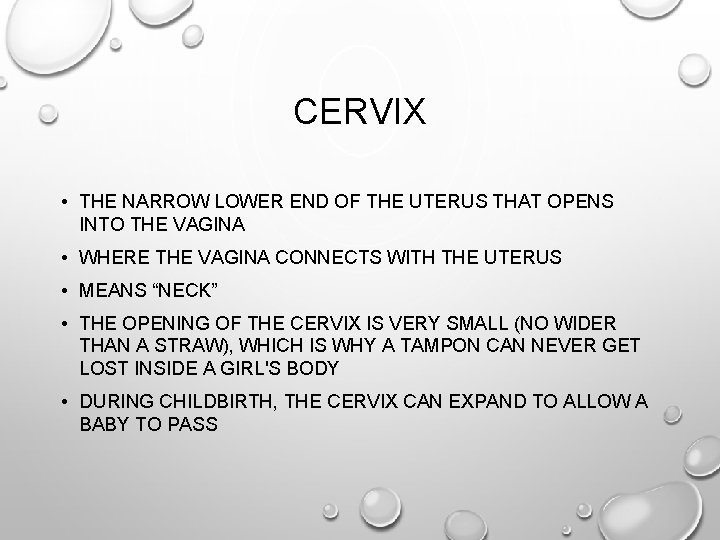 CERVIX • THE NARROW LOWER END OF THE UTERUS THAT OPENS INTO THE VAGINA