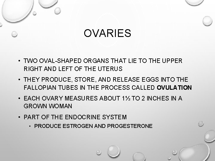 OVARIES • TWO OVAL-SHAPED ORGANS THAT LIE TO THE UPPER RIGHT AND LEFT OF