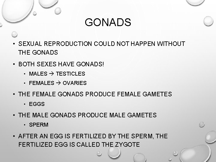 GONADS • SEXUAL REPRODUCTION COULD NOT HAPPEN WITHOUT THE GONADS • BOTH SEXES HAVE